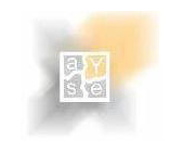 AYSE