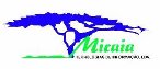 Micaia